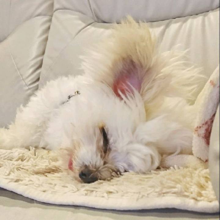 9e35893e bcf9 4618 9b34 2ccb20a86c51