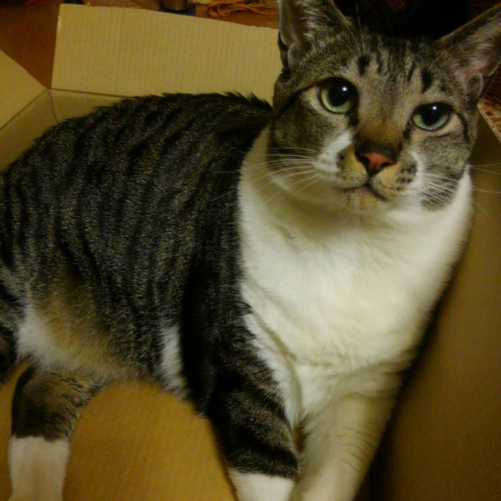 9e35a62b 50a0 4fc1 981f aa30291001ac