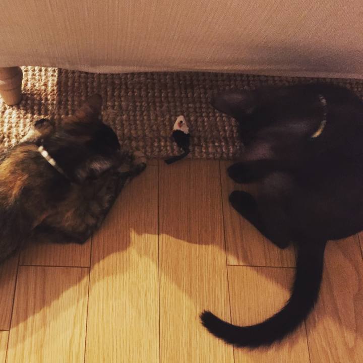 9e35c2ed 05a4 4ac3 ae7b 2f2acdc4e528