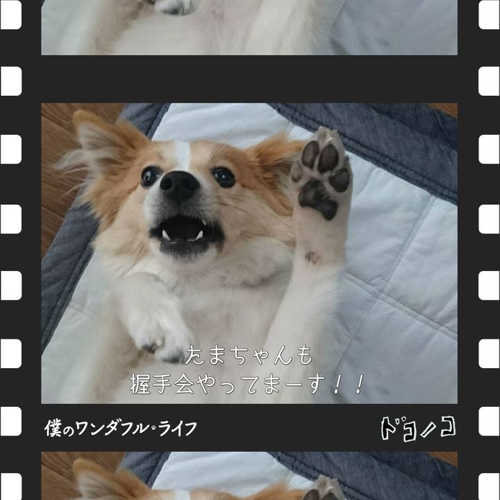 9e35f823 6948 4b76 8c53 76dc6d54a510