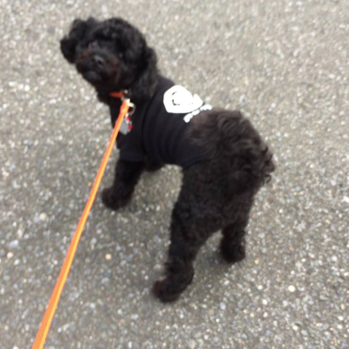 9e364b6f ea47 4931 8cf2 8b0b9fa6966a