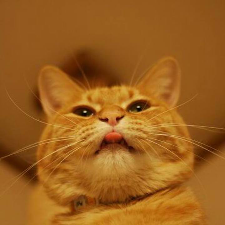 9e371d62 fbfb 47a8 912f ec04d0f27ffd