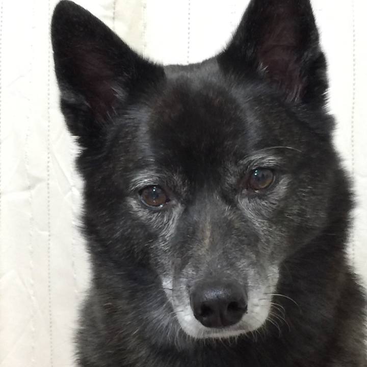 9e376c41 c379 4c02 b212 e055928f5c33