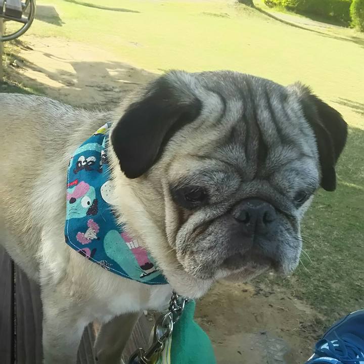 9e3781f2 e239 4c5e b3e0 c9c45e3898b9