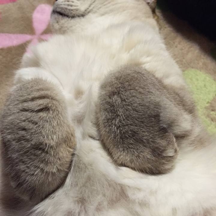 9e37bbc2 afd5 43e2 9401 bee07c40c191