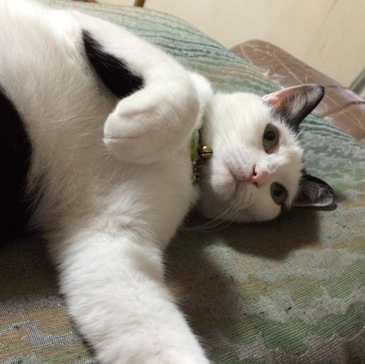 9e38dc56 9249 4e80 9d5c 6f2060b74b0b