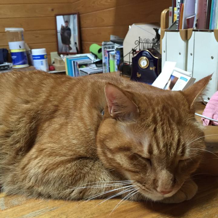 9e3a64cc f503 4b3f 854c 8269ac5d4edd