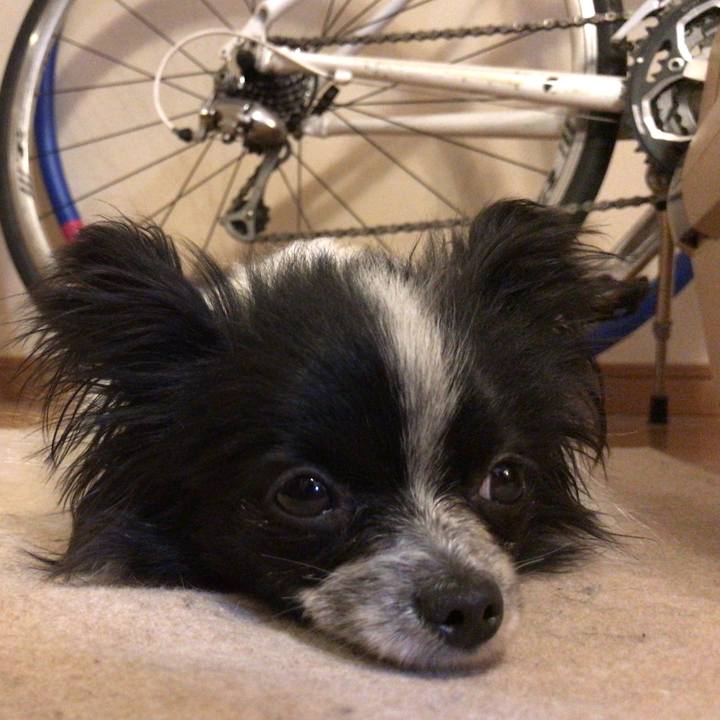 9e3a81f6 5cd8 423b 949b d7f4934f4c23