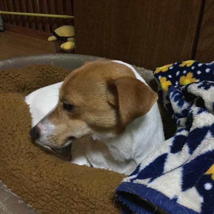 9e3b27df 017b 4a11 b927 ac2cff2745d9