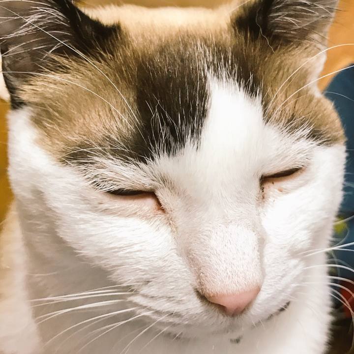 9e3b44d5 3b66 47cf b369 beaaba840434