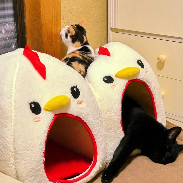 9e3bcb6a a8d2 450f 97d9 84576c941f53