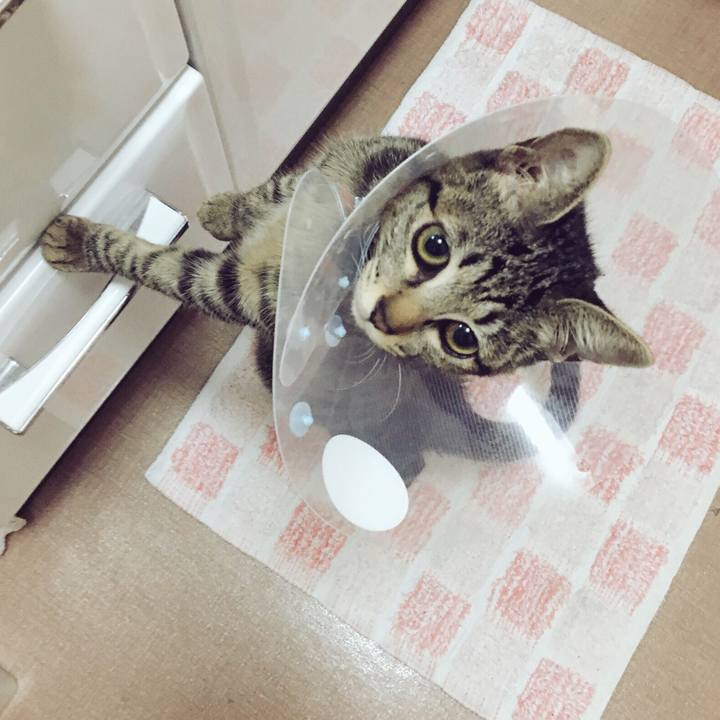 9e3cfd07 5bfa 41a2 850a 0ab1ac992637