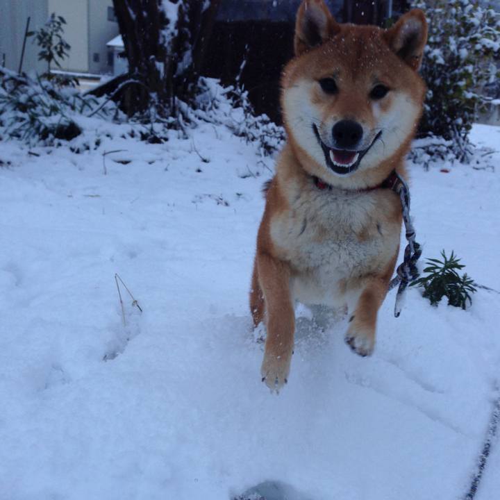 9e3d57c2 6b03 4920 825e 0b70e1a7d238