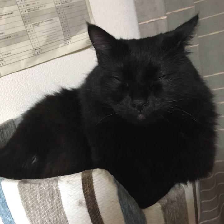 9e3d9a0d 6e1d 4b82 8ca2 8c47e347d375