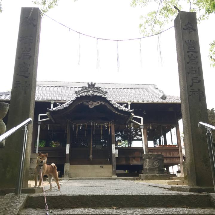 9e3db4ad ef5d 47a4 9772 7eadca35c322