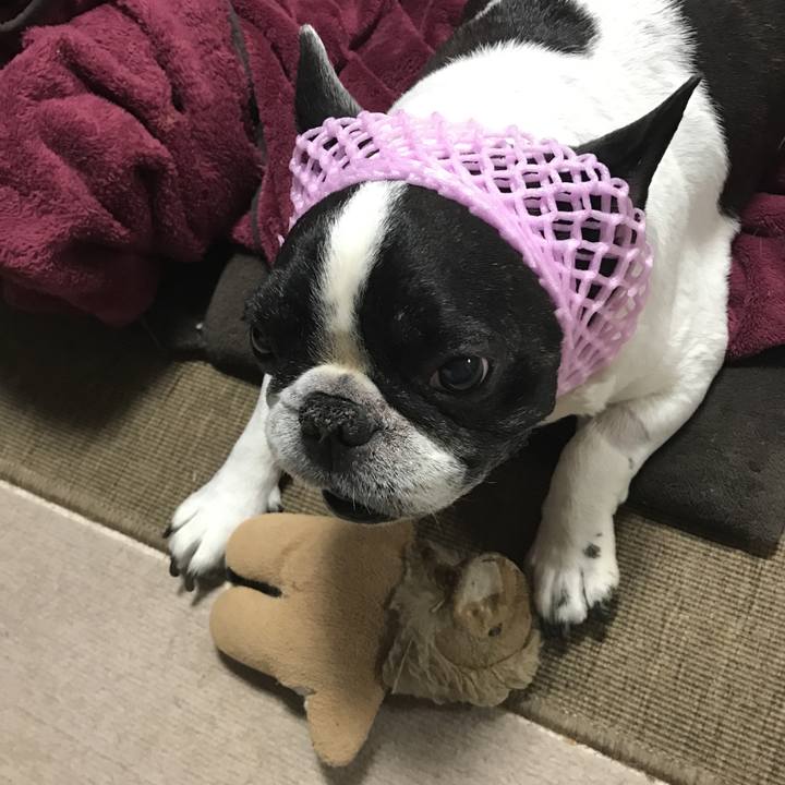 9e3e573e 47ba 411a a643 665c2bf28c26