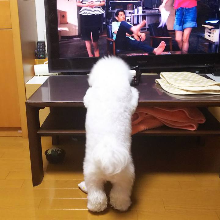 9e3fff51 bf91 4124 83a4 7c0ca2735792