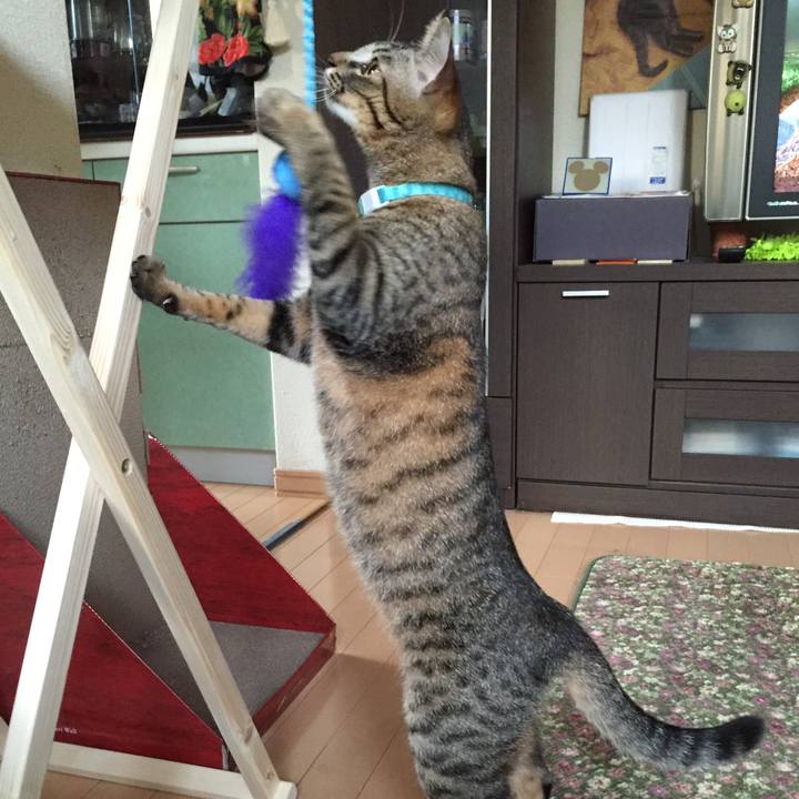 9e403f08 2f2b 401c a80c 7c300cfb6cad