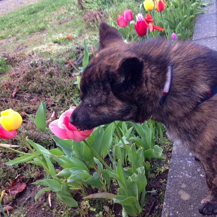 9e408176 ea5c 4d96 86ce cffad5b09701