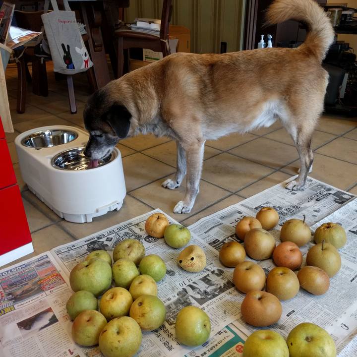 9e413cf3 1b38 43c3 b0bf 4ad1aef9f9f5