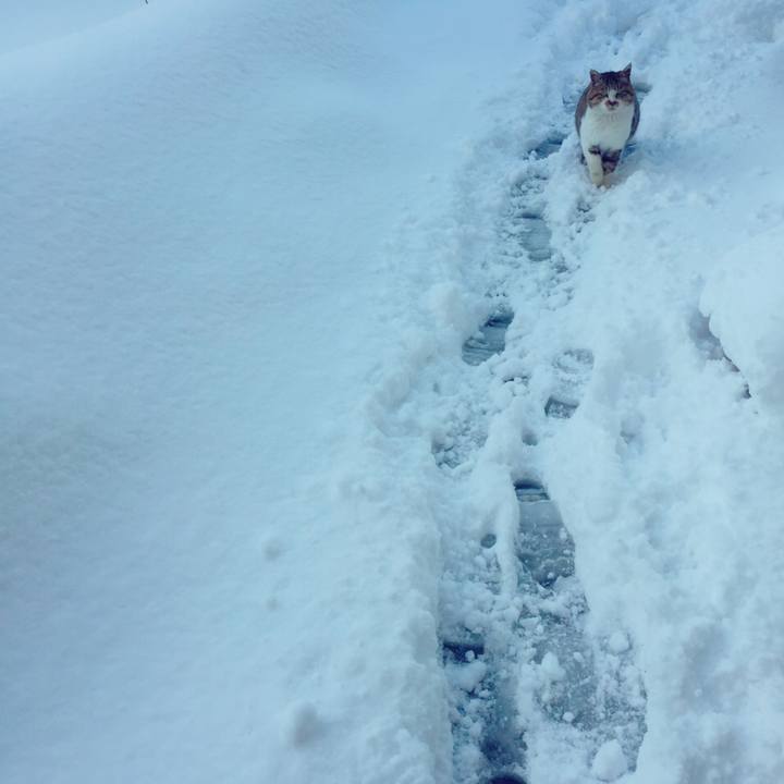 9e4192b3 9cdc 4d6c 9020 477a47d20e5c