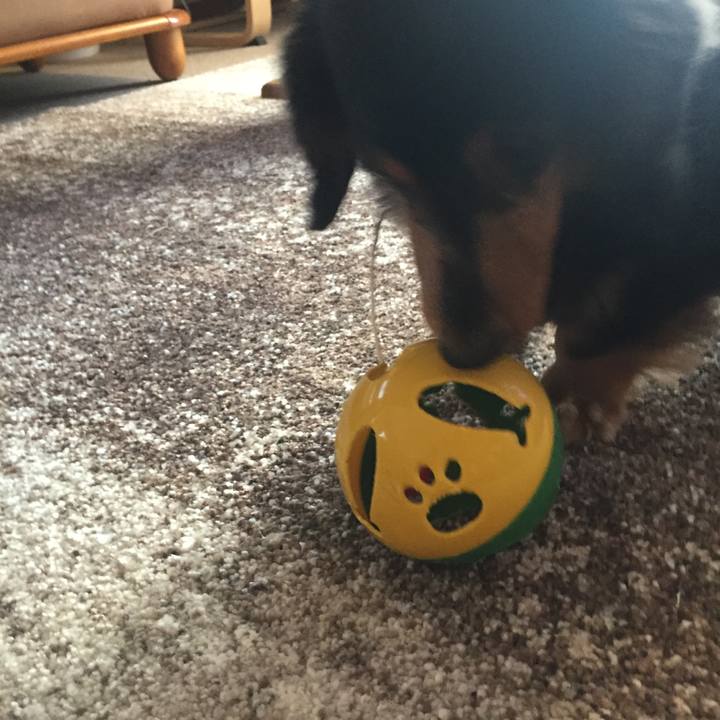 9e422441 17cc 4f6e 88d8 61d65004782d