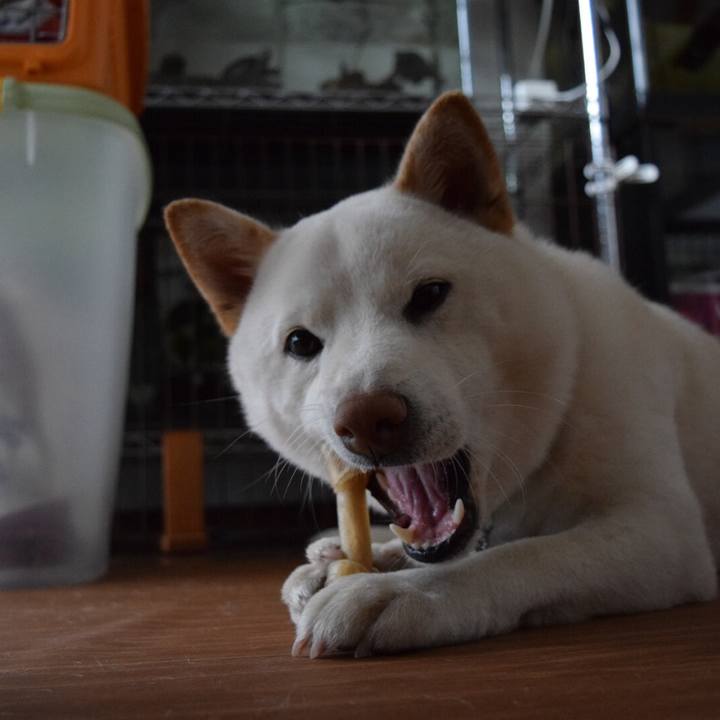 9e42cbbb 11d9 4b14 8bf4 783f1371d0ce