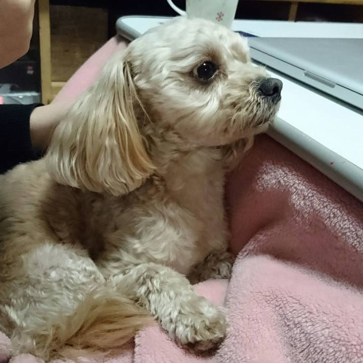 9e42d517 42cf 4818 8d52 97fd63fa2337