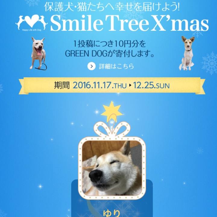 9e4367c0 2e31 462e 9879 f8dca4ad89b5