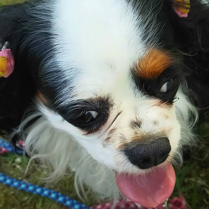 9e43ec1a 1e79 4497 b2a2 608d316e37dc