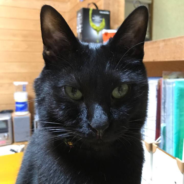 9e444874 9114 467b abfa a60ecf640432