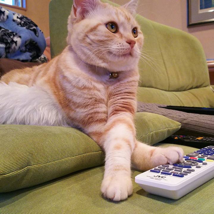 9e4462bb 925c 46da bae2 2269a27760c6