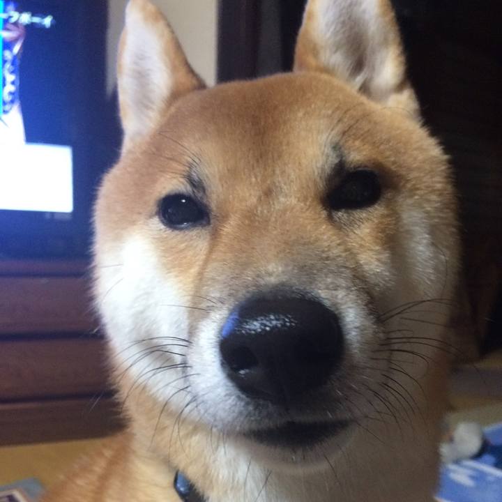 9e447d85 155b 4a33 a872 e9974eb8cc59