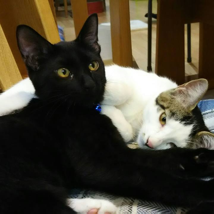 9e44ccbe b0b6 48d9 8650 e1de45cdcbcc