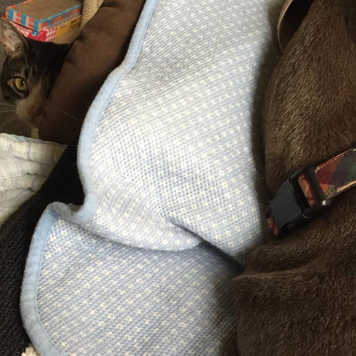 9e4521b9 68af 471a ab18 95a89c2048ee