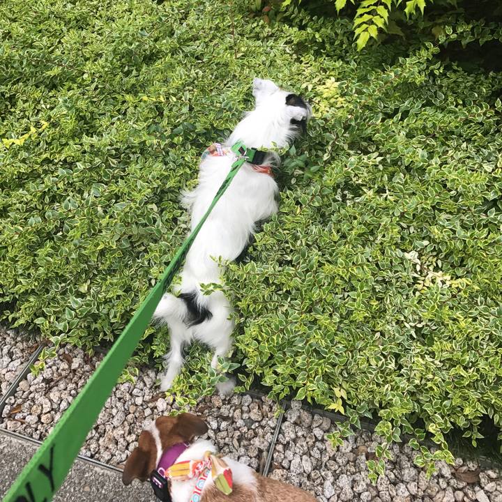 9e4556cd ce06 4135 89c5 522bdd35090b