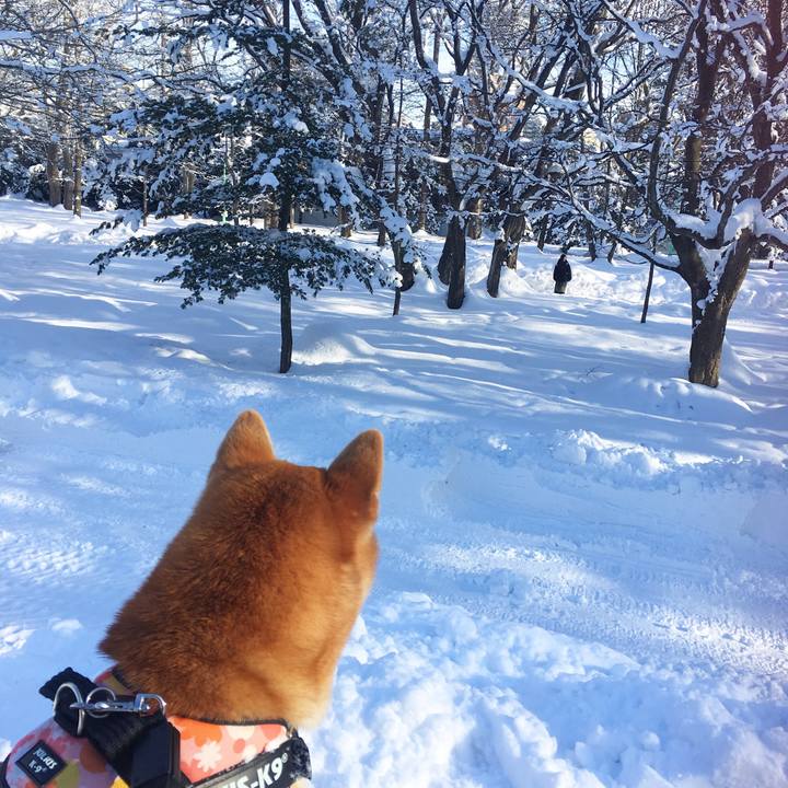 9e45777a 6440 4295 b09f 1d01138acabc