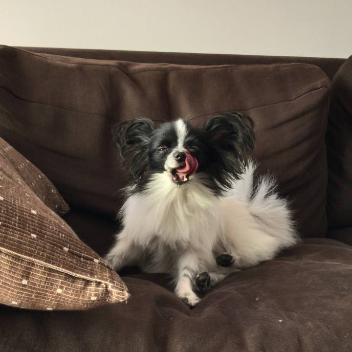 9e457a3b 8736 48a2 a591 30ce3b58ca42