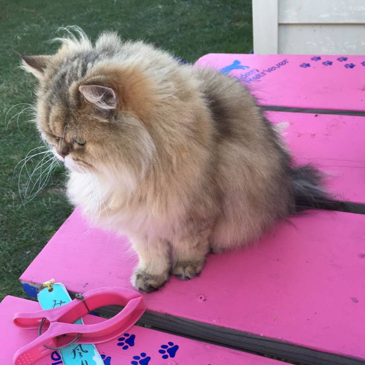 9e45a809 4ebf 4822 9383 d06d66f58d32