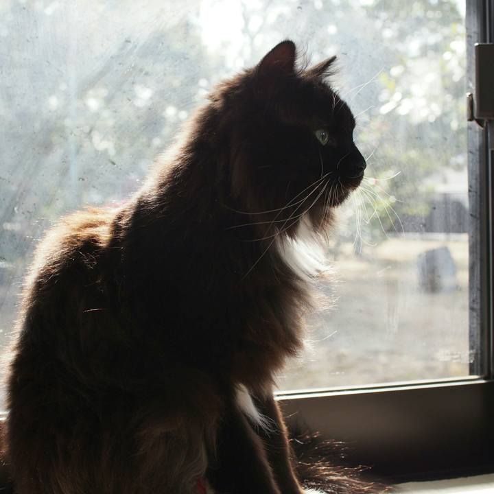 9e45ae5f fed8 4b35 a0d9 1094191addb8