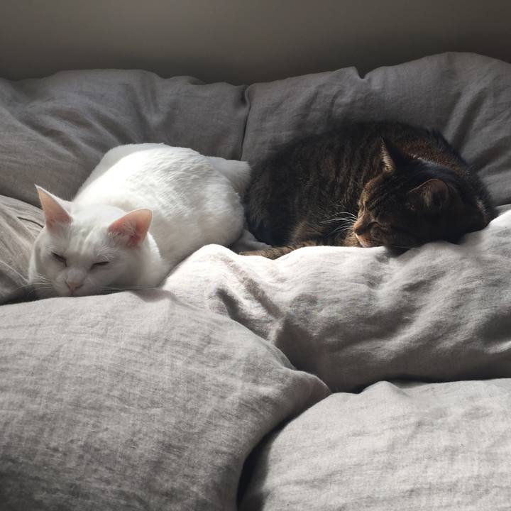 9e45de02 0c6d 46aa b0d9 42df91cc1a00