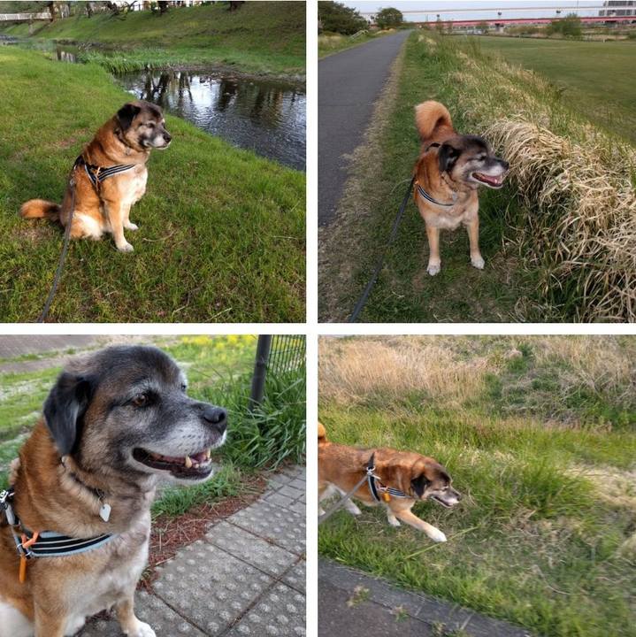 9e46369c ed1d 492e b693 8813283b781c