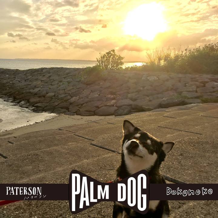 9e466e76 0145 488e aee1 7baf33c1ba05