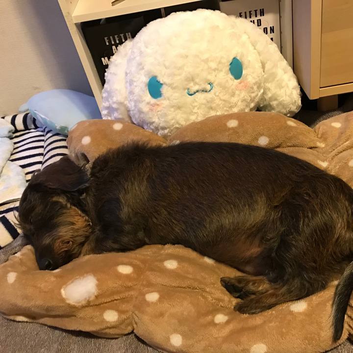 9e4722f1 b8b8 4f4e 8e11 46cce590e87c