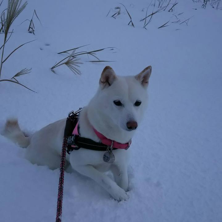 9e47cb10 d7c1 40fc aad3 7cf23fac7da8