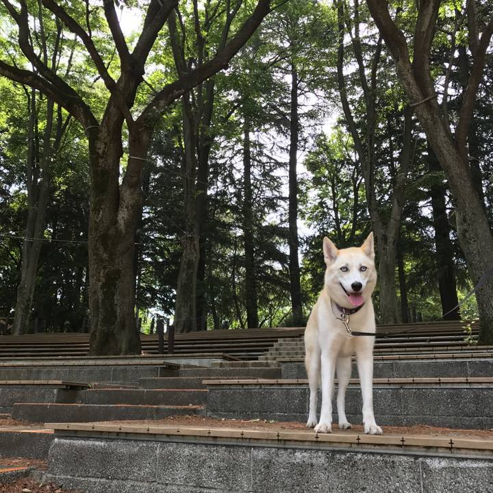 9e481bb3 96ee 4d05 817a ecb98e41a371