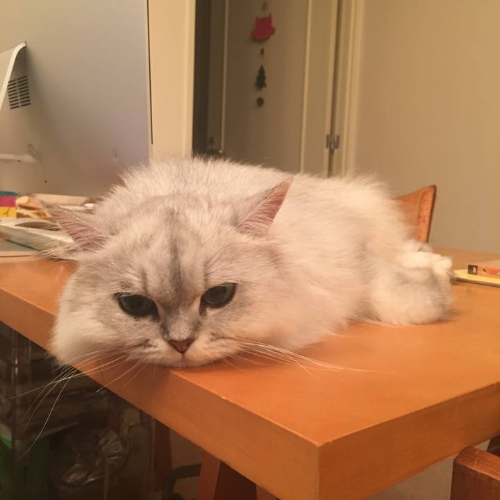 9e48adb8 94f0 459e 951f 4fba5eeefdab