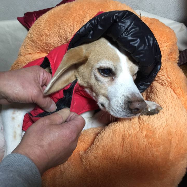 9e48c2f0 0b7a 45fc bbae 406322f0d9b6