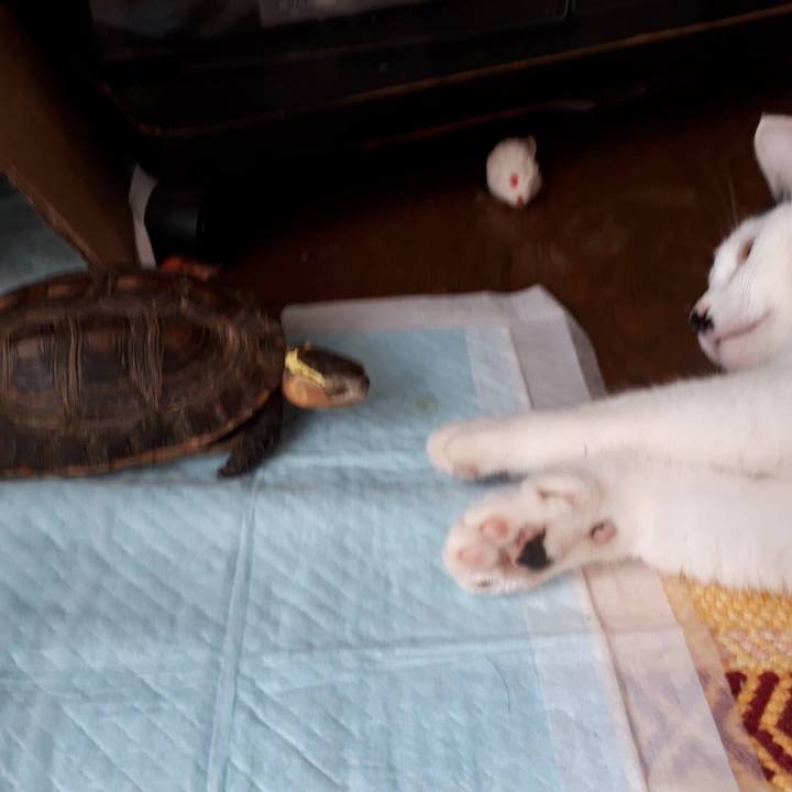 9e48cc15 be1d 4d85 972b be65e5880188