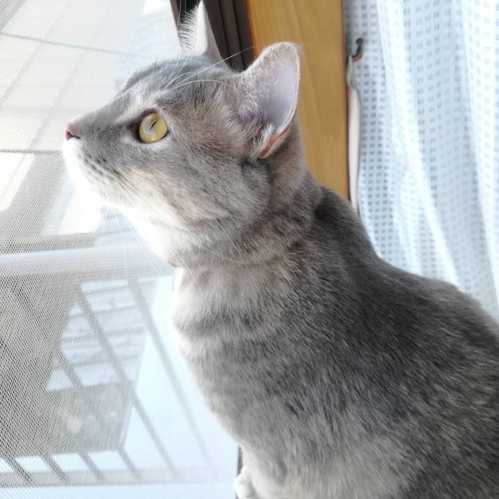 9e49048f 1a9d 497e 93a5 81da9f8decb4